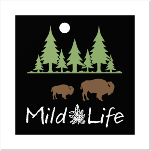 Living The Mild Life! Two Buffalo in the Woods Posters and Art